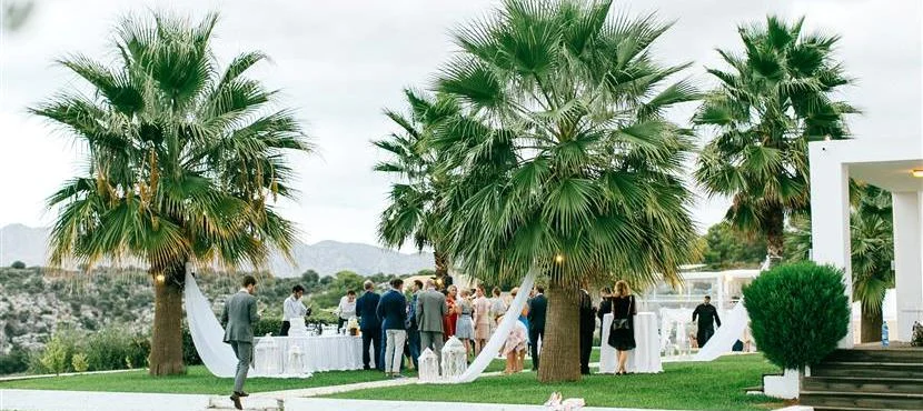 Does the Wedding Celebrant organizes my wedding?